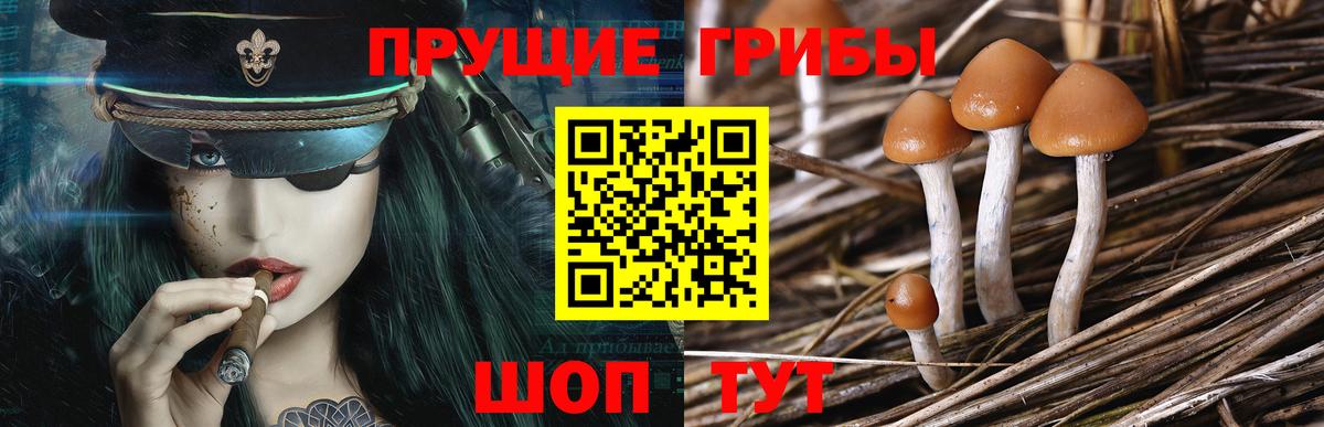 Псилоцибиновые грибы мухоморы  Вход с VPN  Псилоцибиновые грибы мухоморы  Ржев 