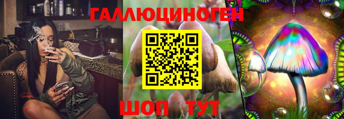 Псилоцибиновые грибы мицелий Ржев